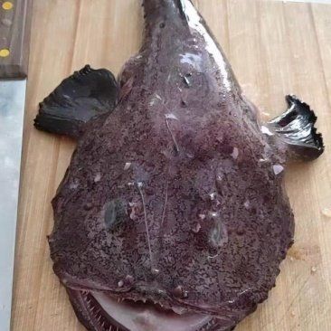 魔鬼魚價格表