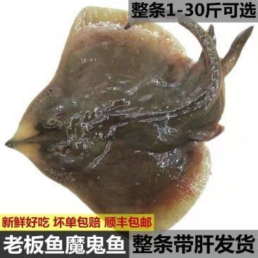 魔鬼魚價格表