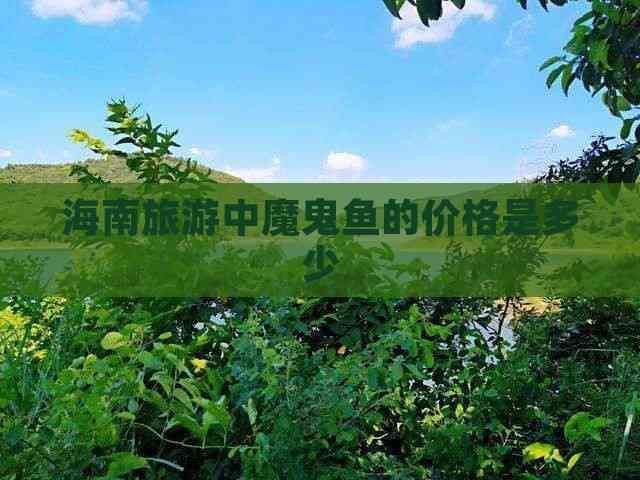 魔鬼魚價格表