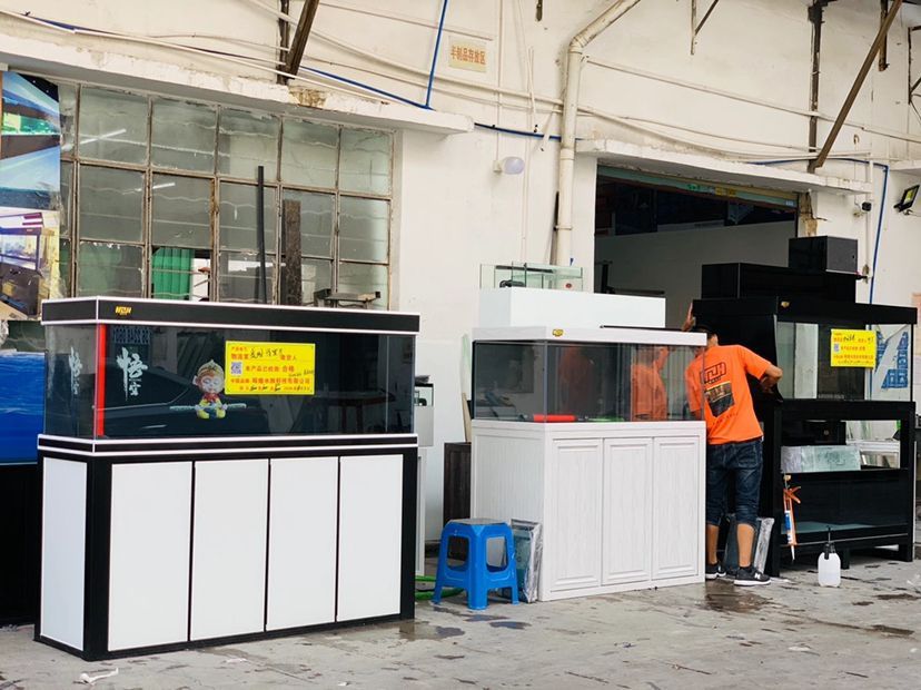 唐山水族館走出國門:黑白結合經典