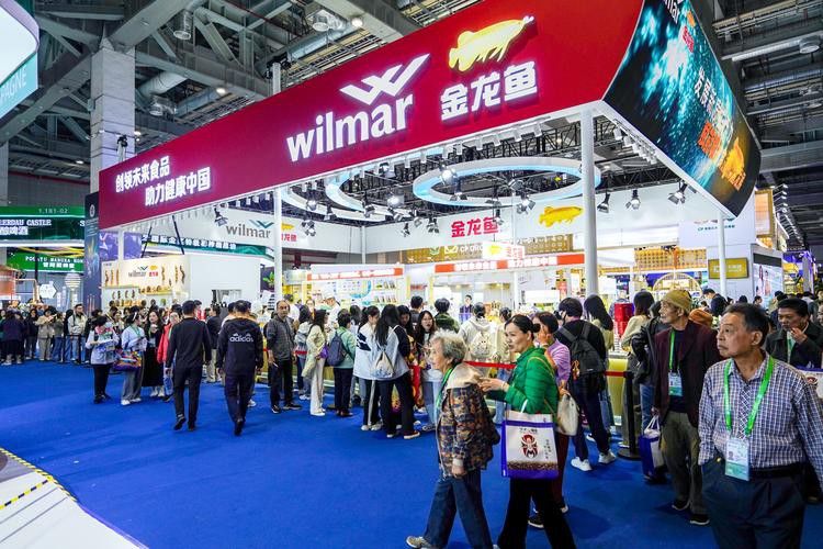 金龍魚市場價多少錢一斤