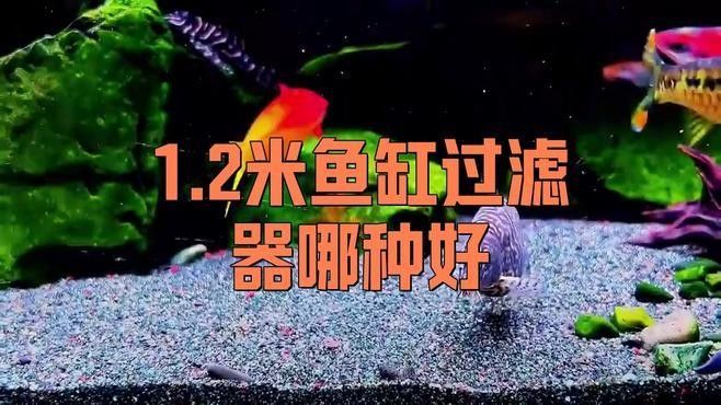 龍魚濾材搭配