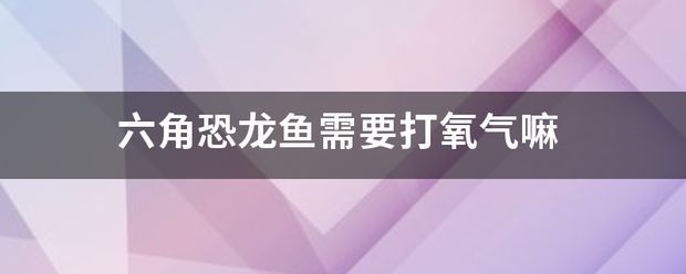 六角龍魚最愛吃什么：六角恐龍魚需要打氧氣嗎