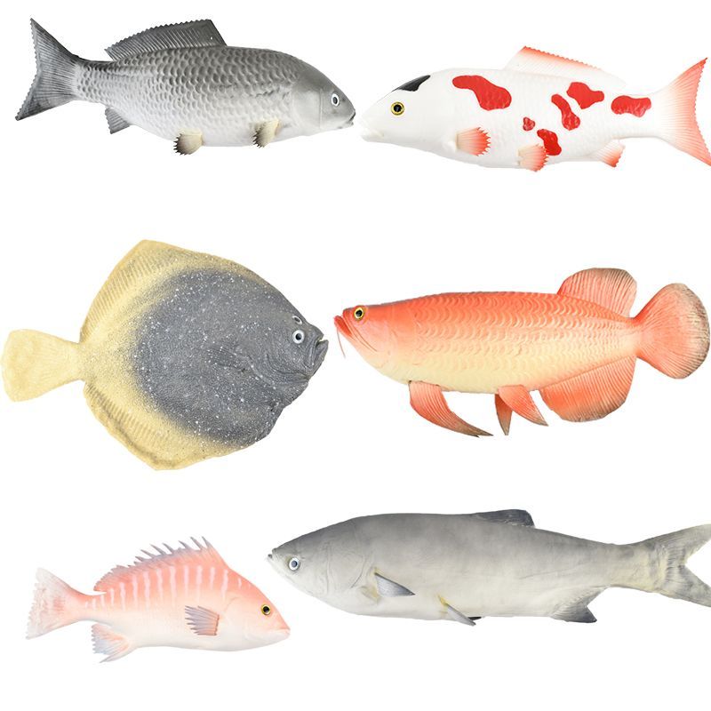 金龍魚有黑點怎么回事？：金龍魚魚鱗上出現黑點可能由多種因素引起