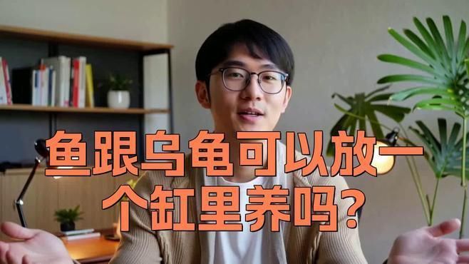 龍魚和烏龜混養需要注意什么？