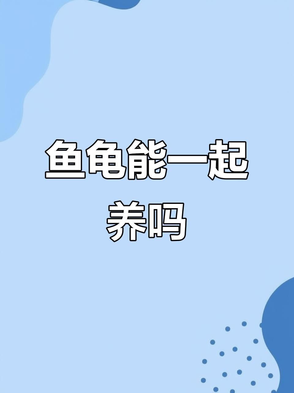 龍魚和烏龜混養需要注意什么？