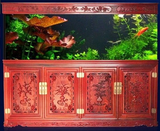 古典龍魚(yú)背景用什么顏色（養(yǎng)金龍魚(yú)用什么背景發(fā)色好-龍魚(yú)背景發(fā)色秘籍）
