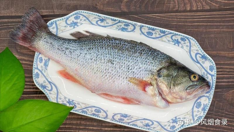 烏魚和龍魚哪個沒有刺