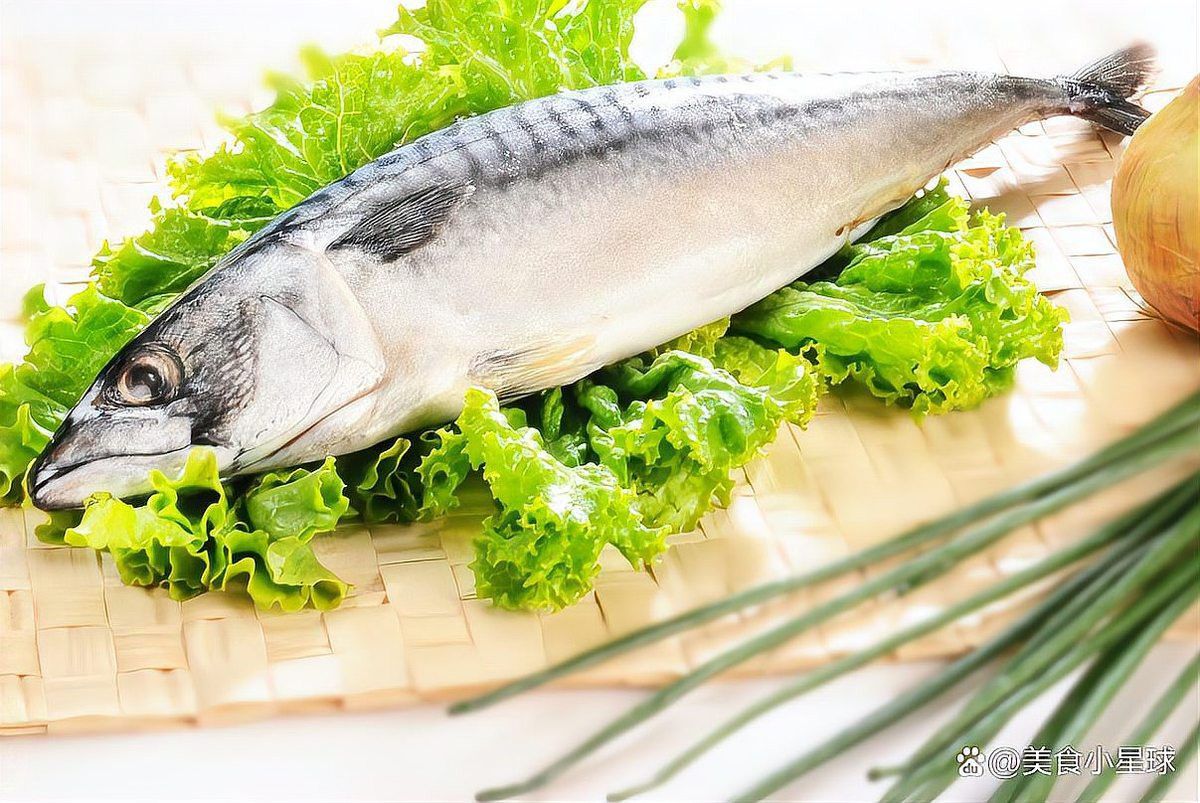 烏魚和龍魚哪個沒有刺