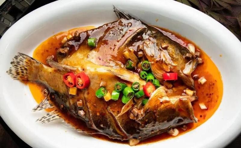 金龍魚和食人魚混養可以嗎：金龍魚與食人魚混養的挑戰與技巧