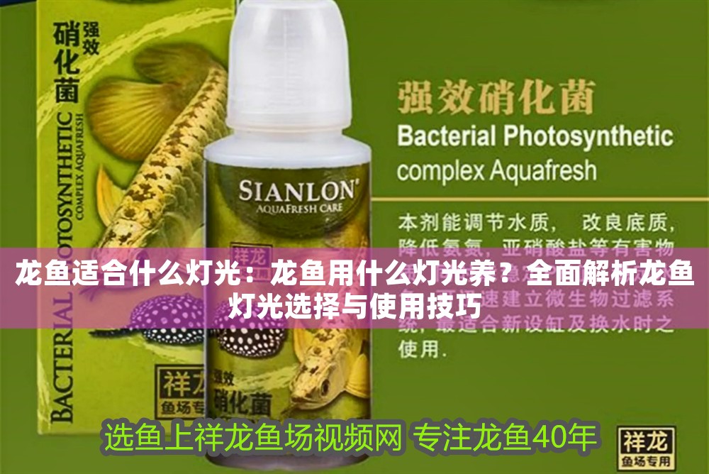龍魚適合什么燈光：龍魚用什么燈光養？全面解析龍魚燈光選擇與使用技巧