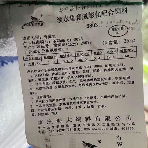 海龍魚飼料怎么樣