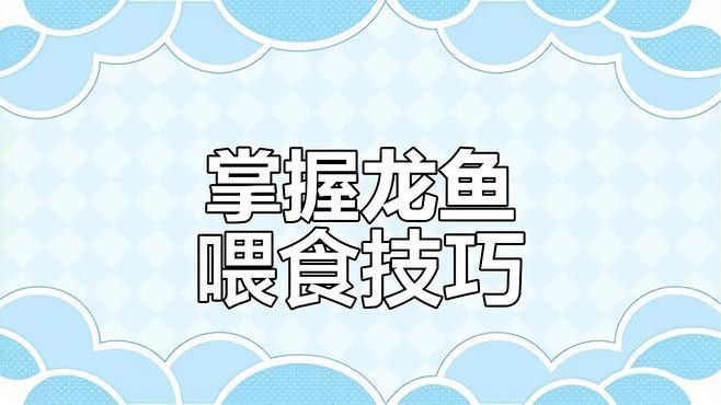 如何判斷龍魚是否吃撐？