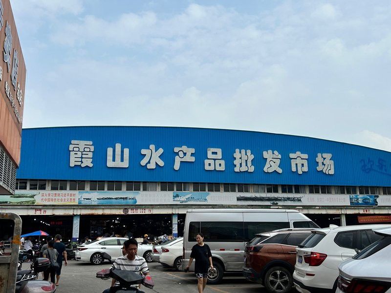 湛江龍魚批發市場地址在哪里啊