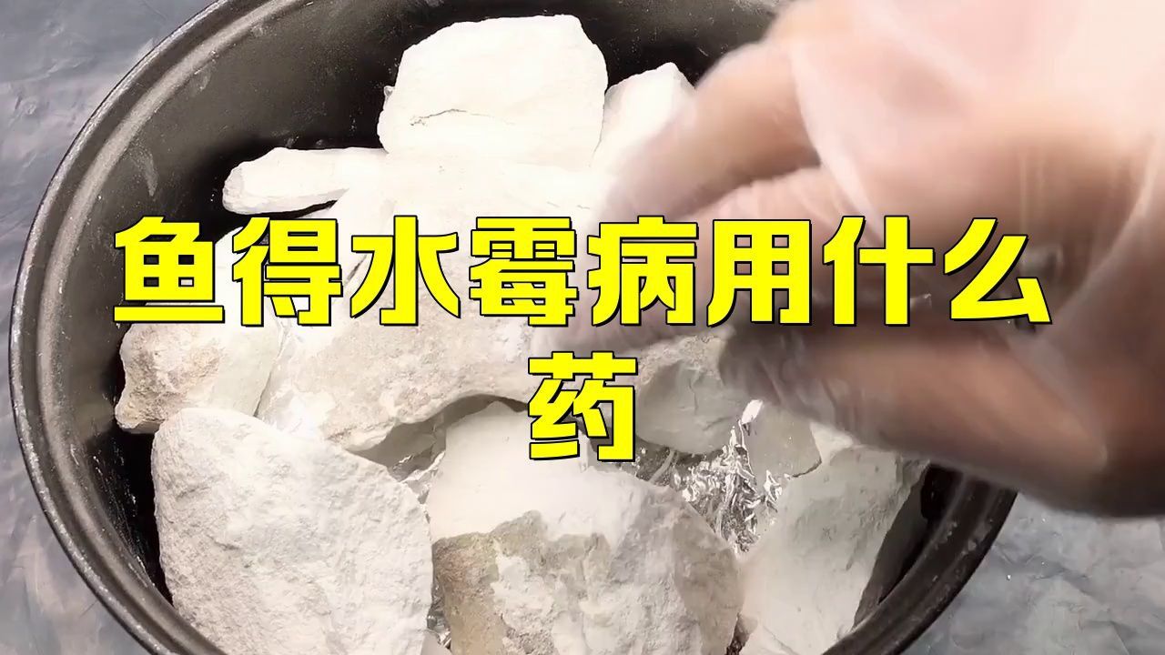 六角恐龍魚(yú)換水時(shí)需要加入什么嗎？