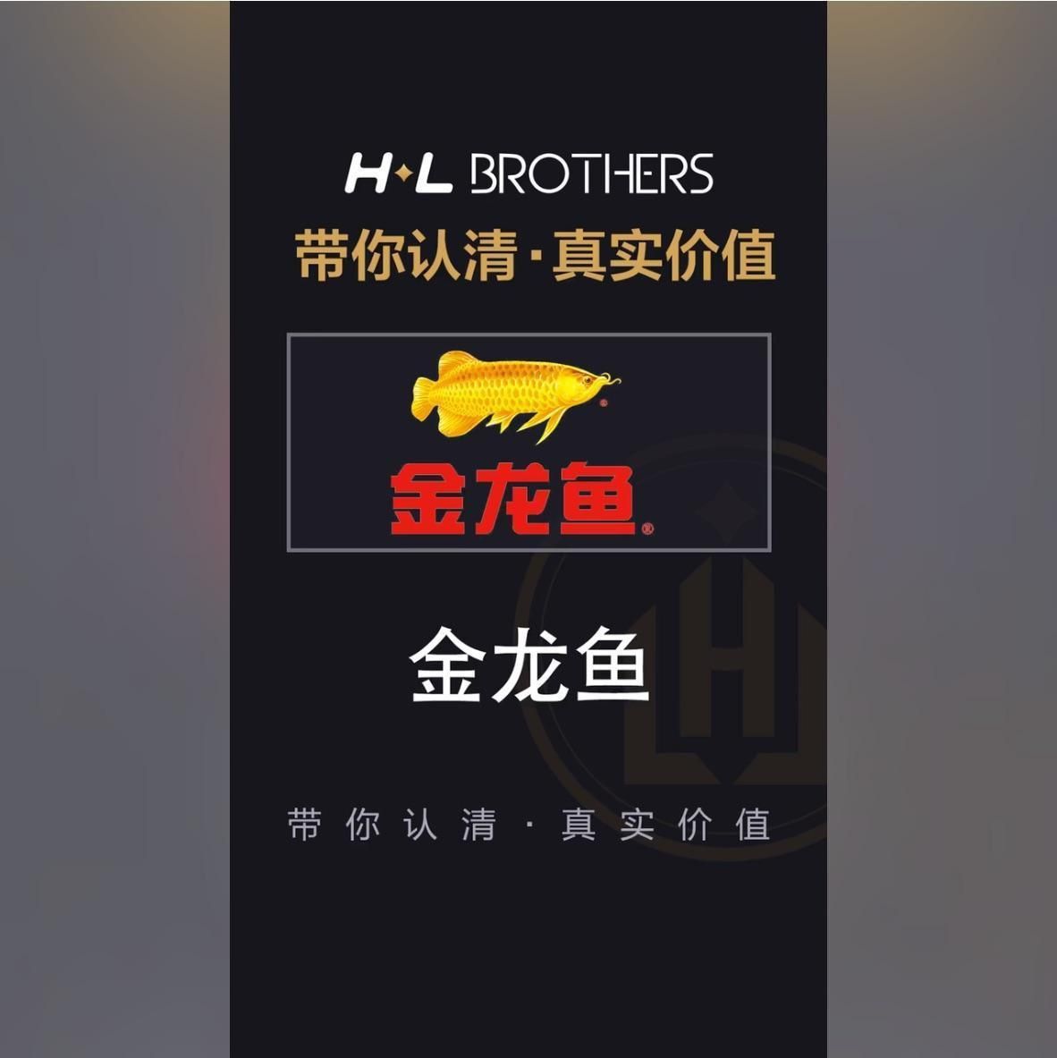 金龍魚市場價值評估