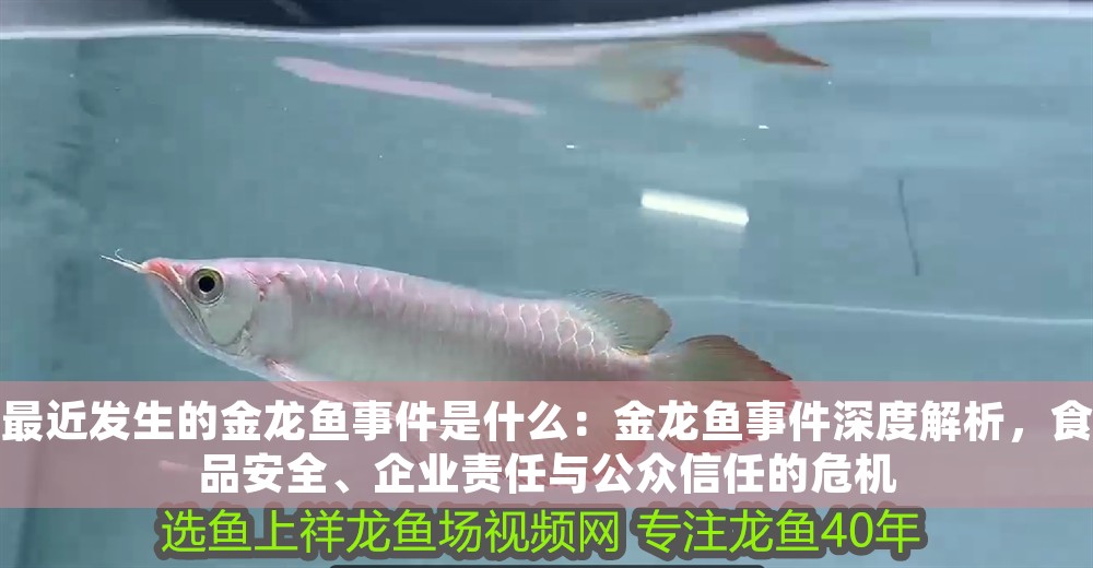 最近發生的金龍魚事件是什么：金龍魚事件深度解析，食品安全、企業責任與公眾信任的危機
