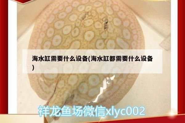 龍魚缸改海缸：如何將龍魚缸改造成海水缸