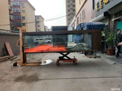 龍魚魚缸搬家需要注意什么問(wèn)題：龍魚搬家后多久適應(yīng)新環(huán)境,如何選擇合適的魚缸搬運(yùn)服務(wù)