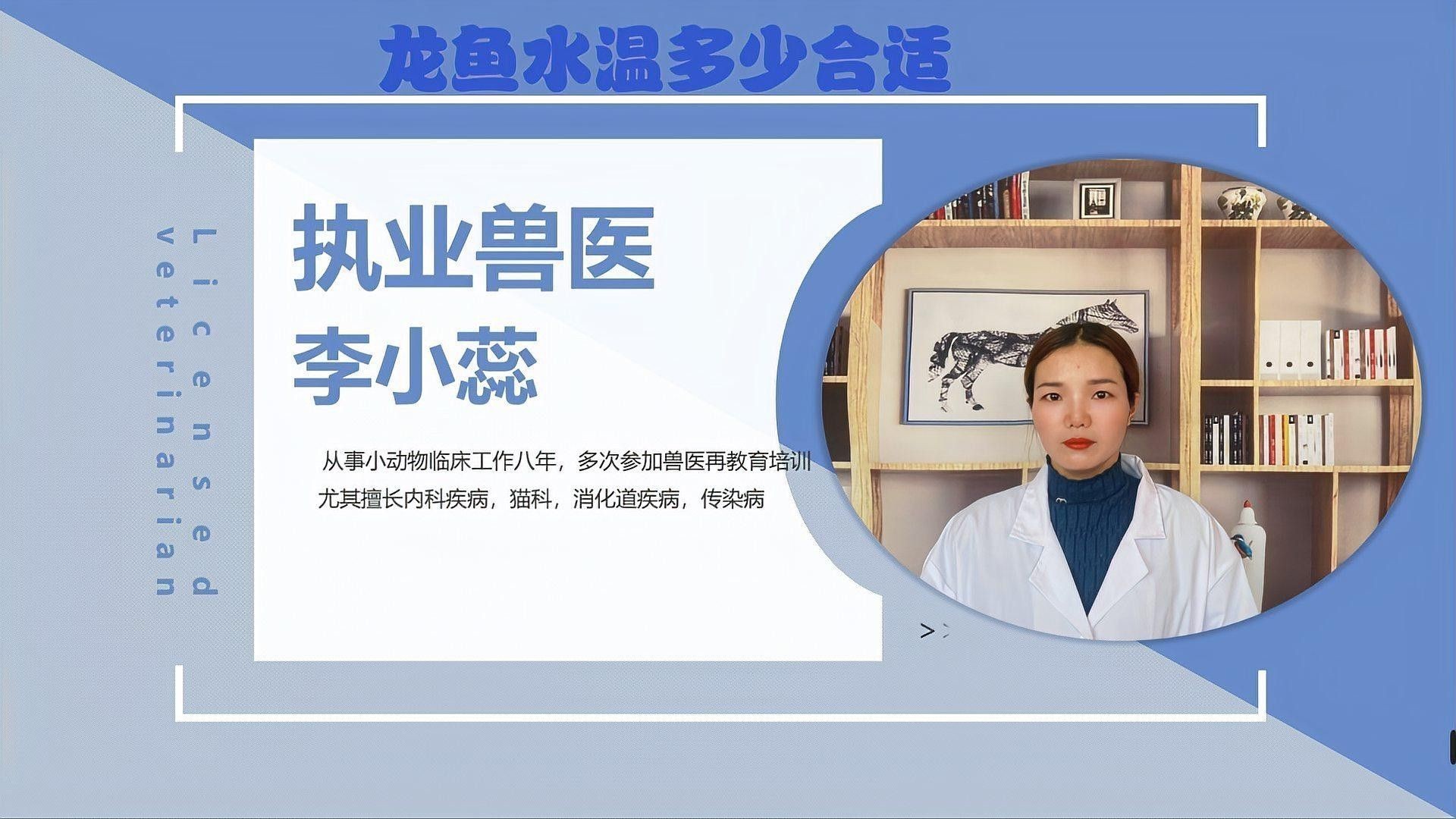 如何保持龍魚生活環境的水溫穩定？ 如何保持龍魚生活環境的水溫穩定？ 龍魚百科 第2張