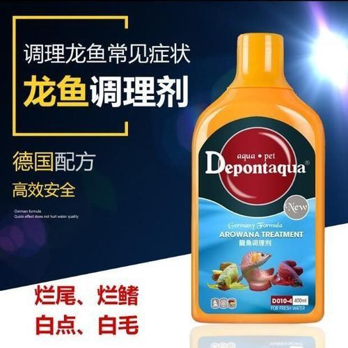能提供幾張龍魚鰓蓋摔斷的圖片嗎？