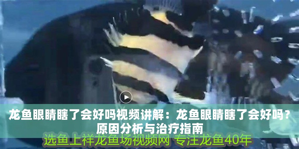龍魚眼睛瞎了會好嗎視頻講解：龍魚眼睛瞎了會好嗎？原因分析與治療指南