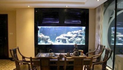 套房魚缸的最佳擺放位置（客廳魚缸擺放的風水講究書房魚缸擺放的風水技巧）