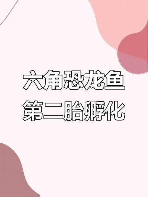 虎斑恐龍魚繁殖方法視頻大全圖片