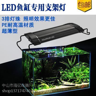 紅龍魚缸內要放幾根燈：紅龍魚缸內燈的數量選擇