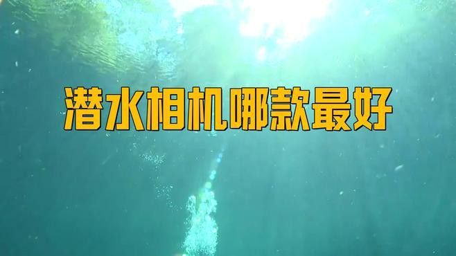 哪些品牌的相機(jī)適合拍攝雷龍魚？ 哪些品牌的相機(jī)適合拍攝雷龍魚？ 龍魚百科 第9張