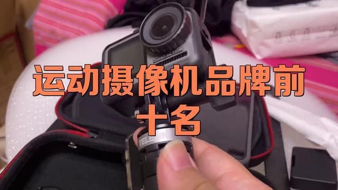 哪些品牌的相機(jī)適合拍攝雷龍魚？ 哪些品牌的相機(jī)適合拍攝雷龍魚？ 龍魚百科 第8張
