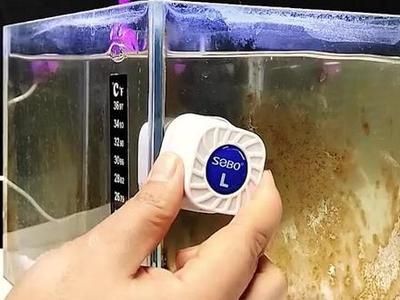 sebo魚缸過濾器怎么安裝（sebo過濾器維護周期魚缸過濾器選型指南）