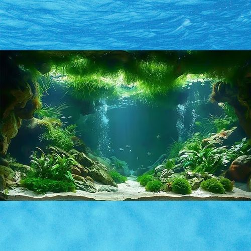 龍魚魚缸背景圖片大全超清視頻