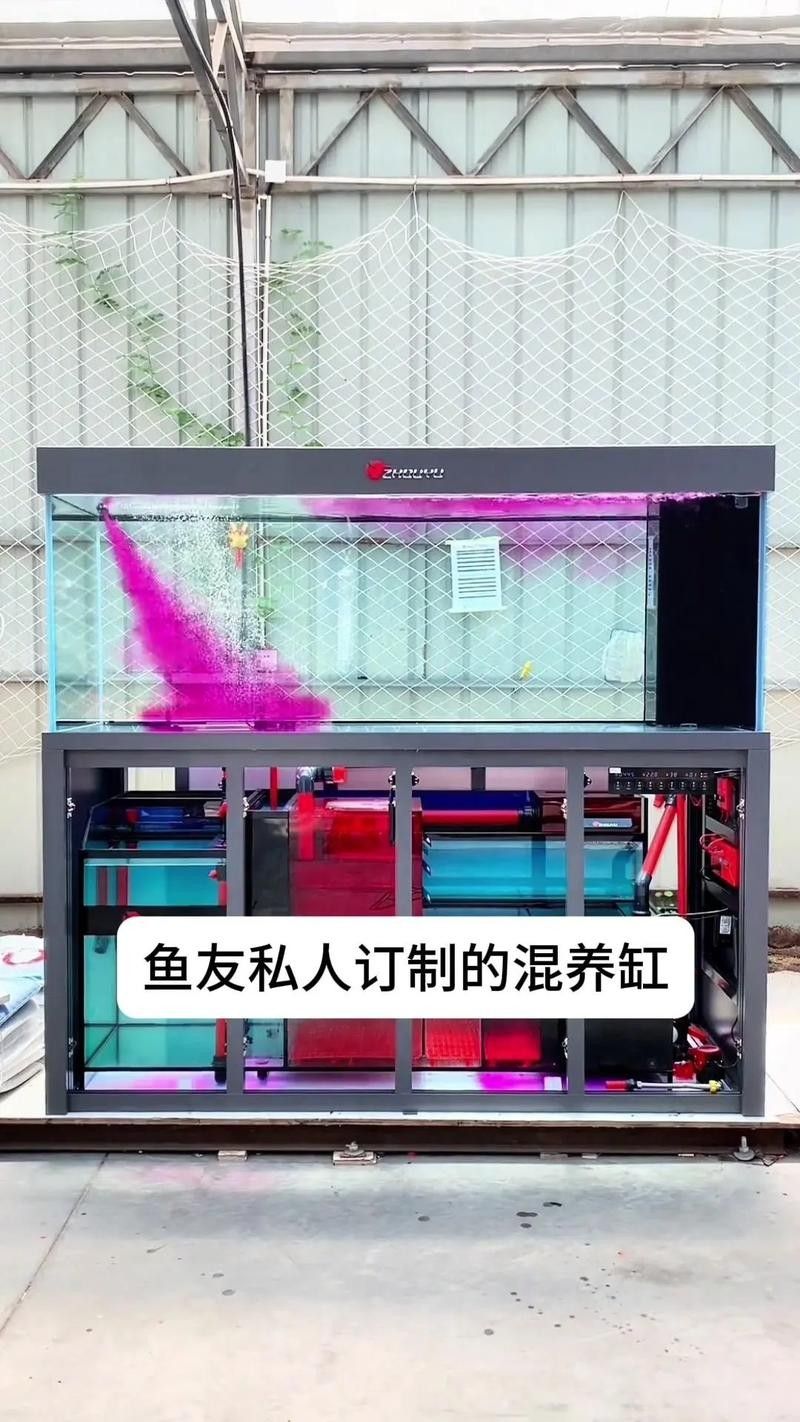 龍魚魚缸背景圖片大全超清視頻