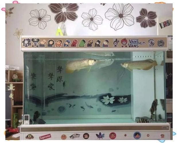 龍魚魚缸背景圖片大全超清視頻