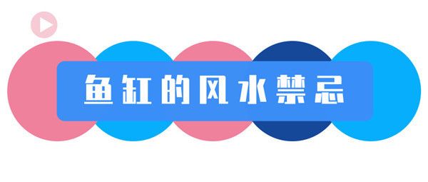 紅龍魚都喂什么魚食好吃（紅龍魚都喂什么魚食好吃呢）