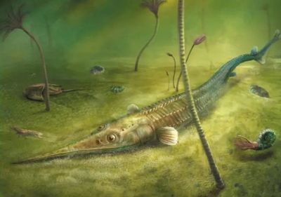 古生物龍魚是怎樣的存在？：“古生物龍魚”是一個涵蓋多個方面的主題