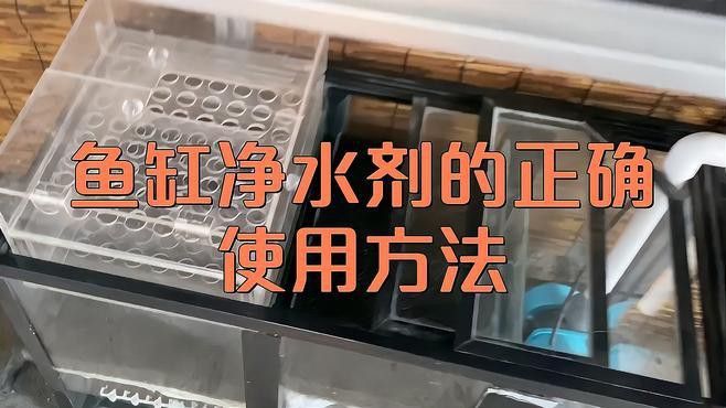 凈水劑對龍魚有害嗎？
