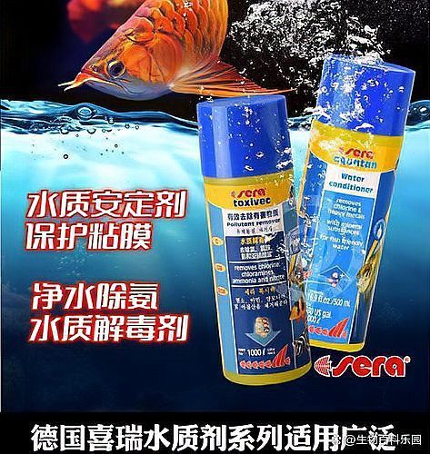 凈水劑對龍魚有害嗎？