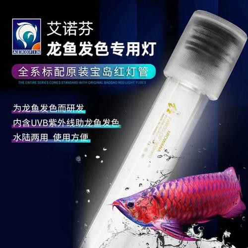 如何讓龍魚發(fā)色更好呢圖片