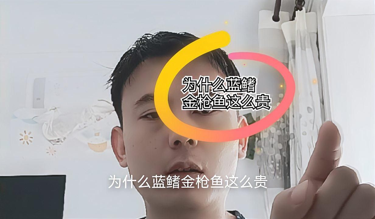 藍鰭金槍魚為什么這么貴？
