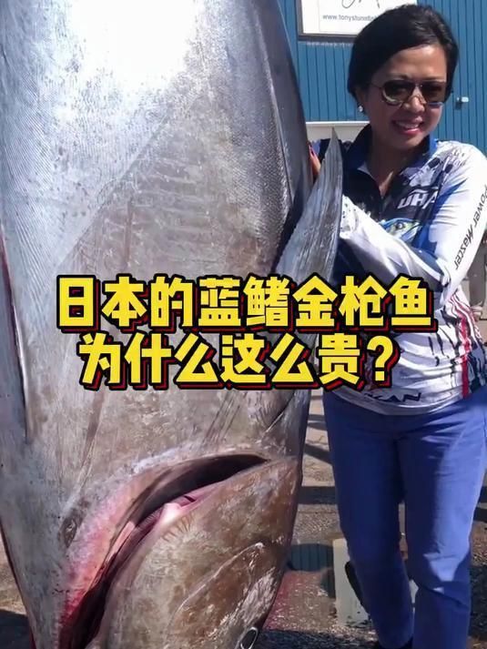 藍鰭金槍魚為什么這么貴？