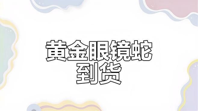 雷龍魚價格表圖片 雷龍魚價格表圖片 龍魚百科 第29張