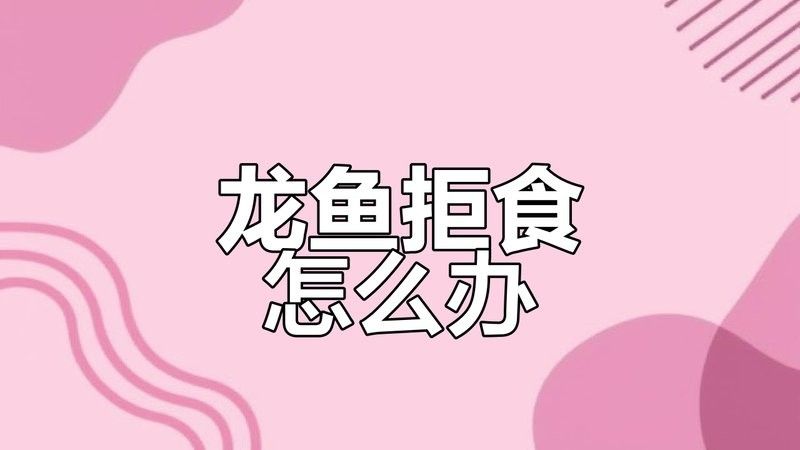 觀賞金龍魚的贊美句子簡短精辟（關于金龍魚的贊美句子360問答[2017-11-30]10.）