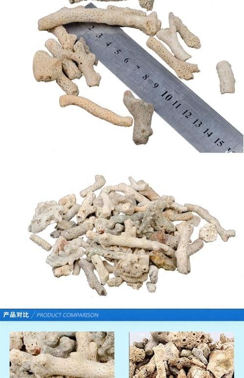 觀賞金龍魚的贊美句子簡短精辟（關于金龍魚的贊美句子360問答[2017-11-30]10.）