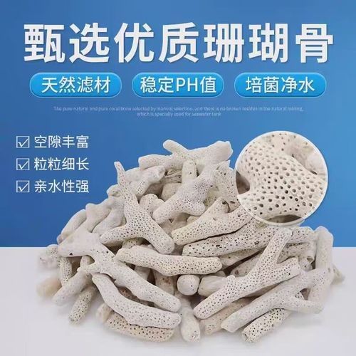 觀賞金龍魚的贊美句子簡短精辟（關于金龍魚的贊美句子360問答[2017-11-30]10.）