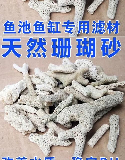 觀賞金龍魚的贊美句子簡短精辟（關于金龍魚的贊美句子360問答[2017-11-30]10.）