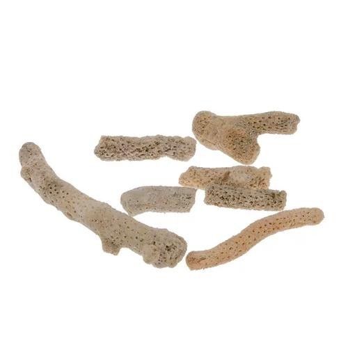 觀賞金龍魚的贊美句子簡短精辟（關于金龍魚的贊美句子360問答[2017-11-30]10.）