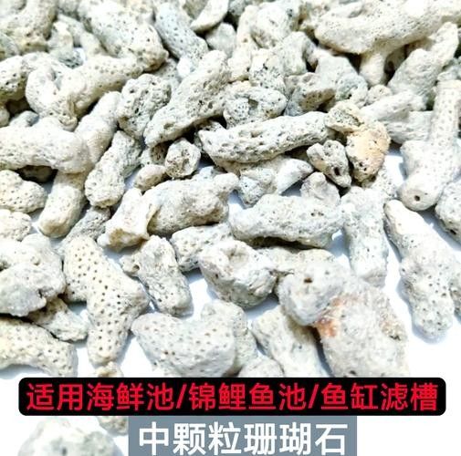觀賞金龍魚的贊美句子簡短精辟（關于金龍魚的贊美句子360問答[2017-11-30]10.）