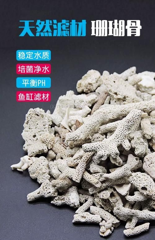 觀賞金龍魚的贊美句子簡短精辟（關于金龍魚的贊美句子360問答[2017-11-30]10.）